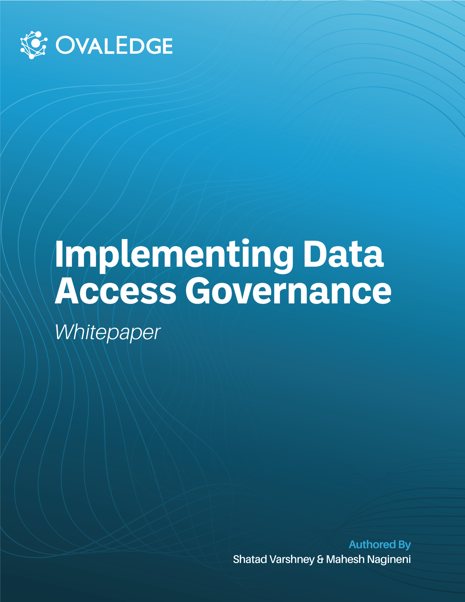 Implementing Data Access Governance Cover
