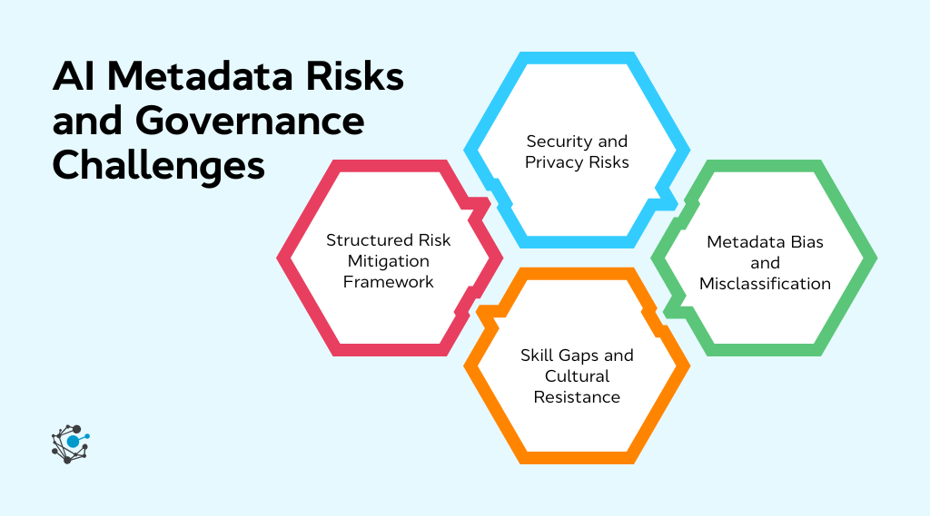 Risks, limitations, and metadata governance challenges